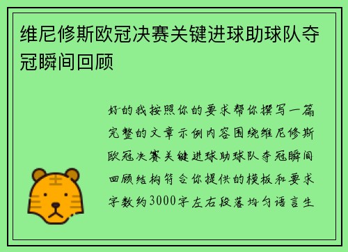 维尼修斯欧冠决赛关键进球助球队夺冠瞬间回顾