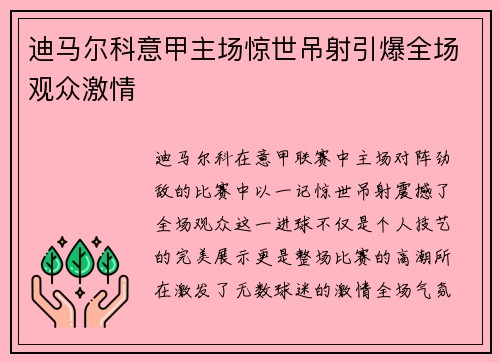 迪马尔科意甲主场惊世吊射引爆全场观众激情